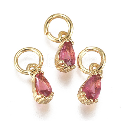 Brass Micro Pave Cubic Zirconia Charms ZIRC-F111-04G-02-1