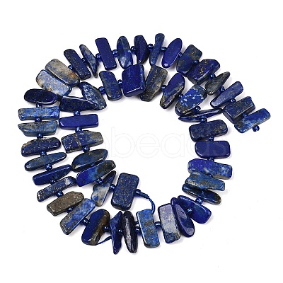Natural Lapis Lazuli Beads Strands G-K393-B05-1