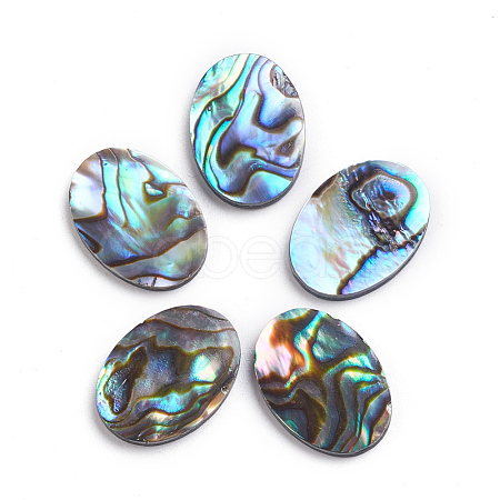 Natural Abalone Shell/Paua Shell Cabochons X-SSHEL-L017-003-1