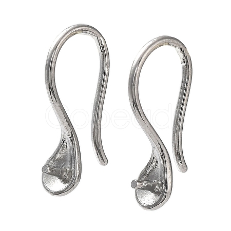 Non-Tarnish 304 Stainless Steel Earring Hooks STAS-M323-06P-1