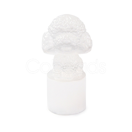 Natural Selenite Figurines DJEW-Q006-01H-1