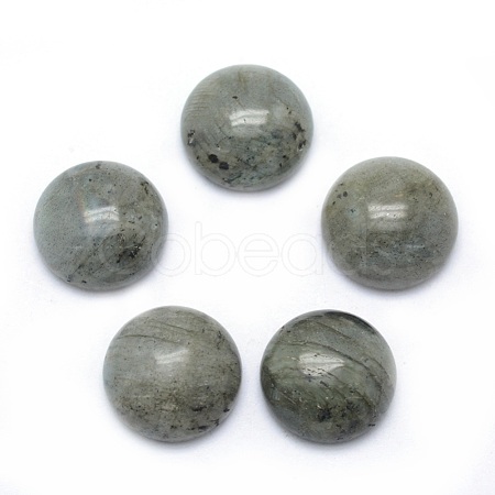 Natural Labradorite Cabochons G-P393-R47-6MM-1
