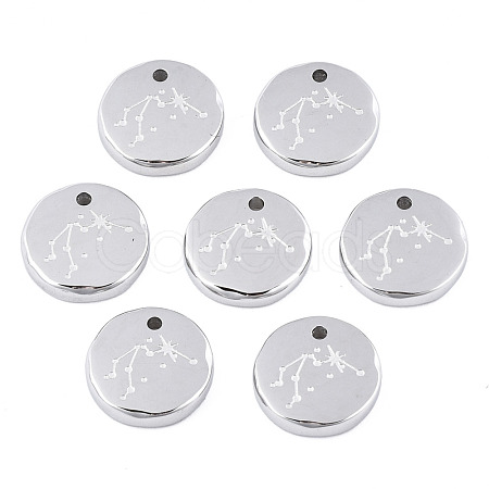 Non-Tarnish 316 Surgical Stainless Steel Charms STAS-S116-418F-P-1