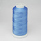 Nylon Thread, For Tassel Making, Sky Blue, 0.3mm, about 1093.61 yards(1000m)/roll