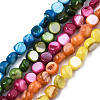 Natural Freshwater Shell Beads Strands SHEL-S276-110A-M-1