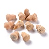 Natural Picture Jasper Beads G-M379-22-1