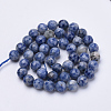 Natural Brazil Sodalite Beads Strands G-S281-10-6mm-2