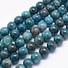 Natural Apatite Beads G-E481-05-8mm-1