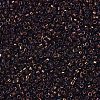 MIYUKI Delica Beads X-SEED-J020-DB1002-3