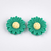 Resin Cabochons CRES-T010-60A-1