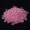 FGB 8/0 Grade A Round Glass Seed Beads SEED-N002-E-304-3