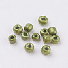 12/0 Glass Seed Beads E06900J2-2