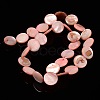 Natural Shell Beads Strands PBB251Y-6-2