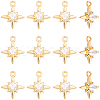 14Pcs Brass Micro Pave Cubic Zirconia Pendants KK-BBC0028-17-7