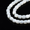 Natural Trochid Shell/Trochus Shell Beads Strands X-SSHEL-N034-121-B01-3