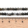 Natural Iolite Beads Strands G-G343-B01-4mm-5