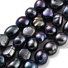 Dyed Natural Cultured Freshwater Pearl Beads Strands PEAR-P062-30D-2