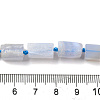 Natural Blue Lace Agate Beads Strands G-F509-63-01-5
