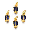 Alloy Enamel Charms KK-N238-064A-2