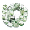 Natural Prehnite Beads Strands G-K245-J13-01-2