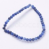 Natural Sodalite Beads Strands X-G-G515-4mm-07-2