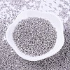 MIYUKI Delica Beads SEED-X0054-DB0429-3