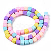 Handmade Polymer Clay Beads Strands CLAY-N008-060-04-2