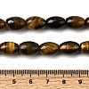 Natural Tiger Eye Beads Strands X-G-A275-A01-8x12mm-5