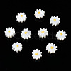 Natural Freshwater Shell Beads SHEL-N003-20A-01-1