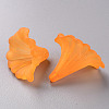 Transparent Acrylic Beads BSF796-C19-3