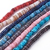 Shell Beads Strands SSHEL-E571-49-1