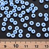 6/0 Glass Seed Beads SEED-T005-14-B20-5