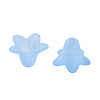 Transparent Acrylic Beads PLF018-06-5