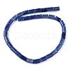Dyed & Heated Natural Blue Aventurine Beads Strands G-Q159-A04-01-3