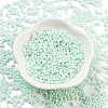 Baking Paint Glass Seed Beads SEED-A033-05R-2