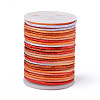 Segment Dyed Polyester Thread NWIR-I013-C-09-1