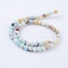 Frosted Natural Amazonite Round Bead Strands G-E334-8mm-09-2