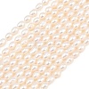 Natural Cultured Freshwater Pearl Beads Strands PEAR-D003-01D-05-2