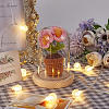1 Set Glass Cloche Bell Jar Terrarium with 1Pc Handmade Knitting Crochet Artificial Lily of the Valley Potted DJEW-WR0001-01B-3