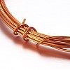 Round Aluminum Wire AW-D009-2.5mm-10m-12-1