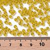 Glass Seed Beads SEED-A004-3mm-10-3