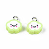 Handmade Polymer Clay Charms CLAY-N006-37B-01I-2