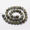 Natural Labradorite Bead Strands G-O155-05B-6mm-2