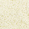 MIYUKI Round Rocailles Beads SEED-JP0009-RR0421-3