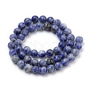 Natural Brazil Blue Spot Jasper Beads Strands G-S259-36-6mm-2