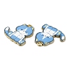 Alloy Enamel Pendants FIND-C037-20G-07-2