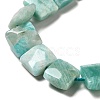 Natural Amazonite Beads Strands G-G980-07-4