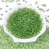 FGB Transparent Glass Seed Beads SEED-N013-01A-07-2