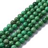 Natural Howlite Beads Strands G-C180-12A-1