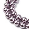 Electroplated Shell Pearl Beads Strands BSHE-G041-10mm-02-3